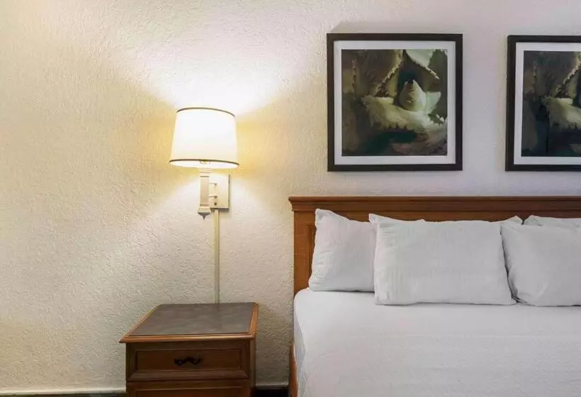 障害者適応デラックスルーム, La Quinta Inn By Wyndham San Antonio I35 N At Rittiman Rd