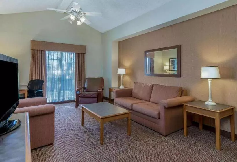 キングサイズベッドのスイートルーム, La Quinta Inn By Wyndham San Antonio I35 N At Rittiman Rd