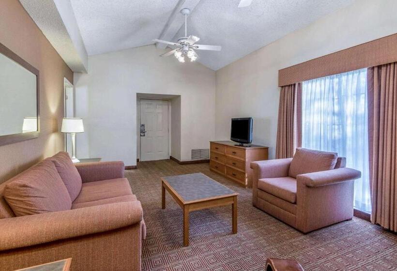 Suite King Bed, La Quinta Inn By Wyndham San Antonio I35 N At Rittiman Rd