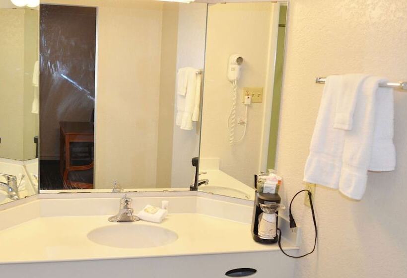 غرفه قياسيه سريرين مزدوجين, Magnuson Hotel Texarkana