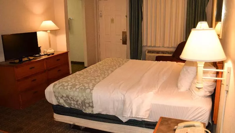 キングサイズベッドのスタンダードルーム, Magnuson Hotel Texarkana