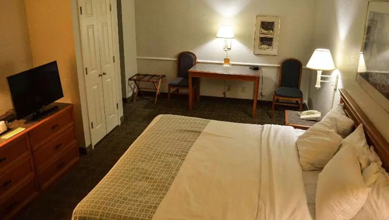 キングサイズベッドのスタンダードルーム, Magnuson Hotel Texarkana