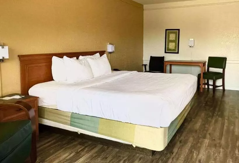 Standard-huone King-vuode, Quality Inn Nacogdoches Near University