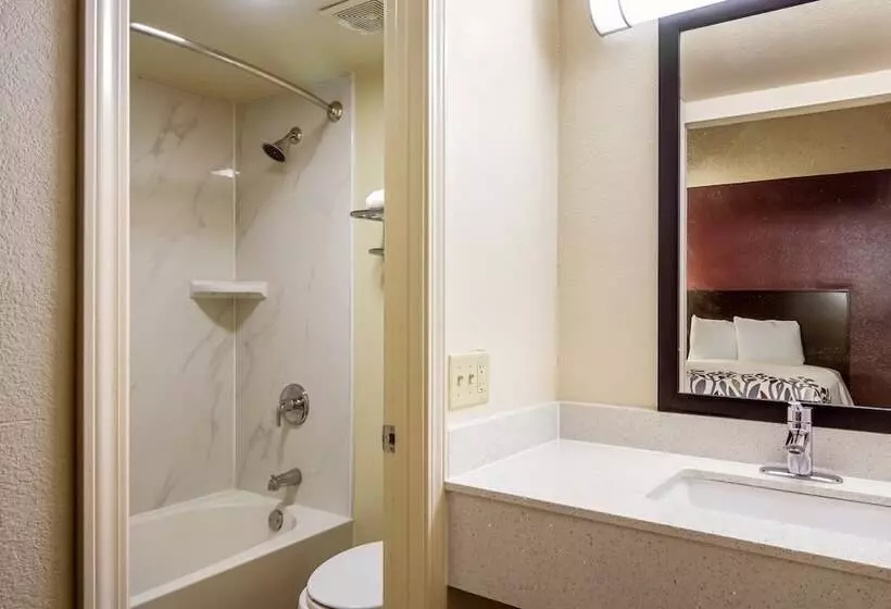 デラックスルーム, Red Roof Inn Houston East  I10