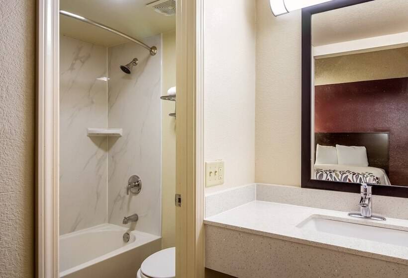 适用于残疾人士的豪华房间, Red Roof Inn Houston East  I10