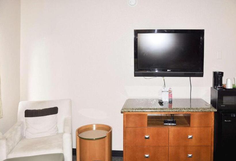 带2个双人床的标准工作室, Bison Inn & Suites On University