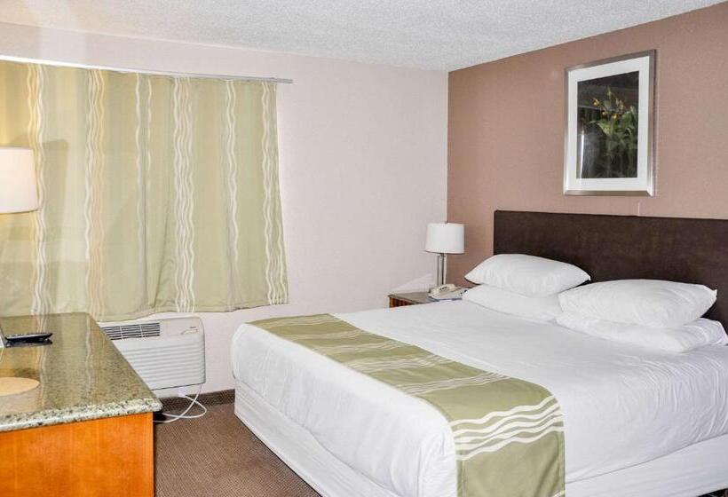 标准间, Bison Inn & Suites On University