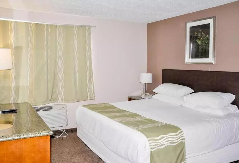 اتاق استاندارد, Bison Inn & Suites On University