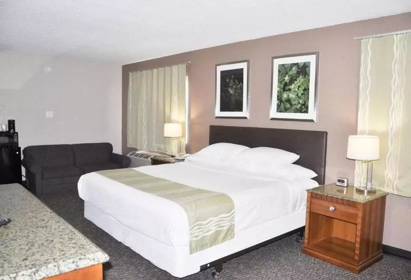 اتاق استاندارد با تخت بزرگ, Bison Inn & Suites On University
