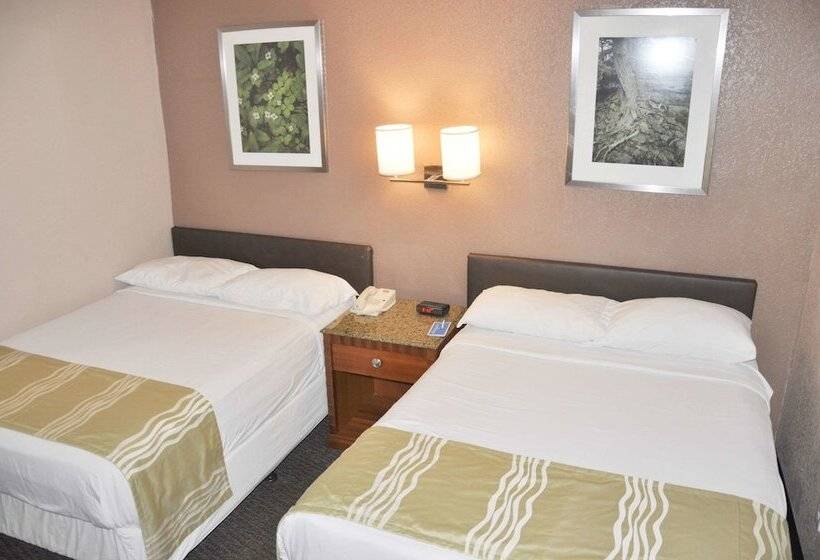 带2个双人床的标准工作室, Bison Inn & Suites On University