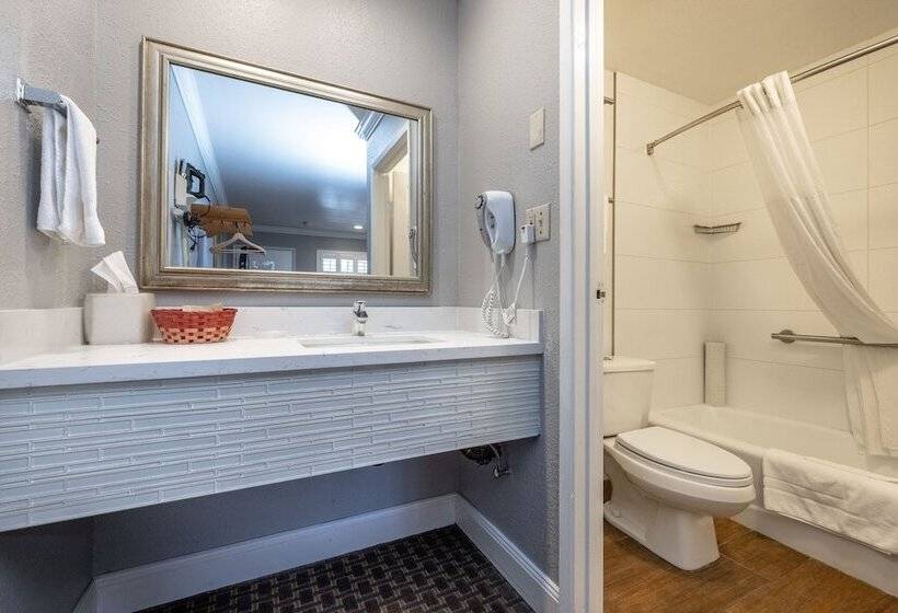 Standard Værelse Tilpasset til Handicappede, Soma Park Inn