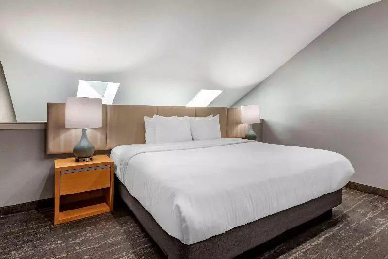 キングサイズベッドのスイートルーム, Somerset Lofts