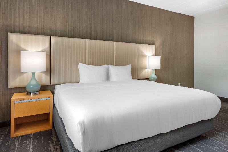 غرفة قياسية سرير كينج, Somerset Lofts