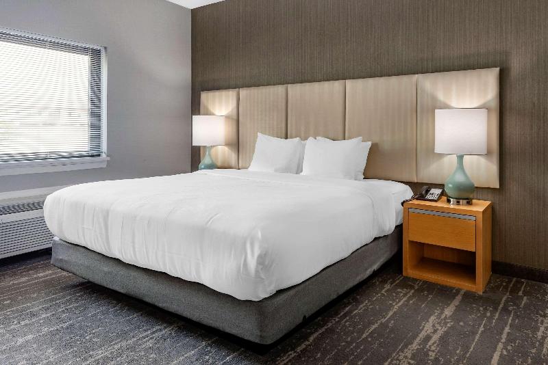 غرفة قياسية سرير كينج, Somerset Lofts