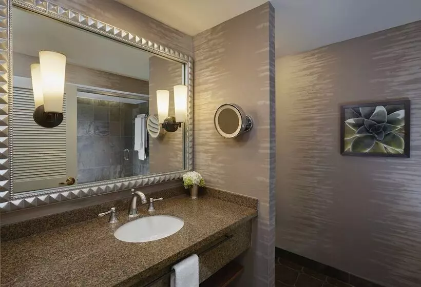 اتاق استاندارد با تخت دوبل, Loews Ventana Canyon Resort