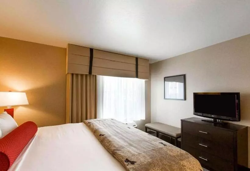 سوئیت با تخت بزرگ, Cambria Hotel Rapid City Near Mount Rushmore