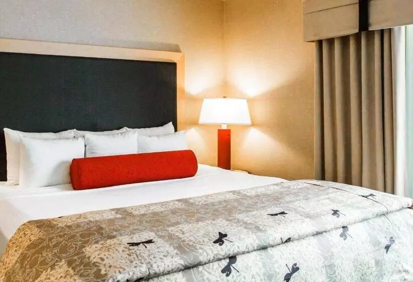 سوئیت با تخت بزرگ, Cambria Hotel Rapid City Near Mount Rushmore