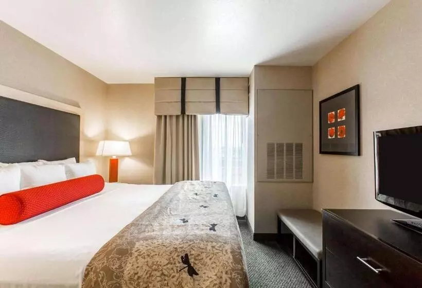 سوئیت با تخت بزرگ, Cambria Hotel Rapid City Near Mount Rushmore