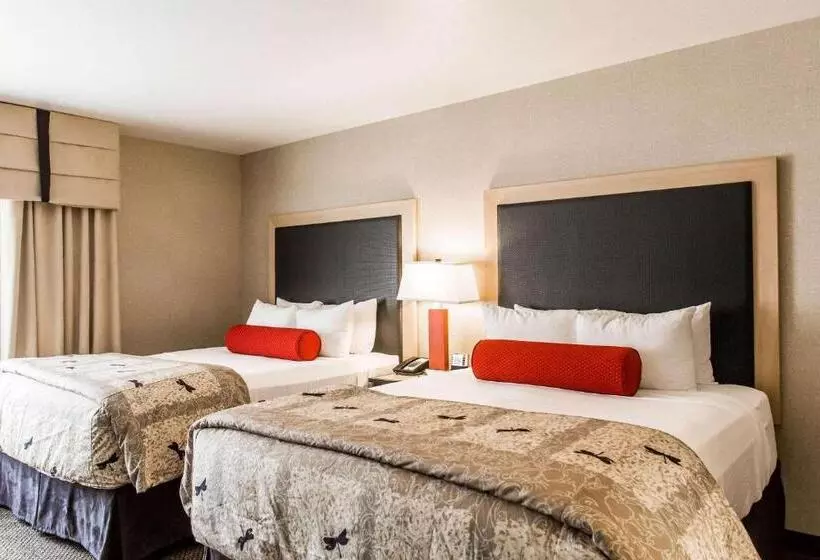 سوییت, Cambria Hotel Rapid City Near Mount Rushmore