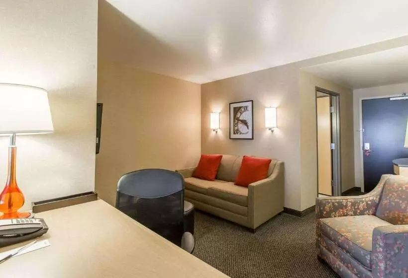 سوییت, Cambria Hotel Rapid City Near Mount Rushmore