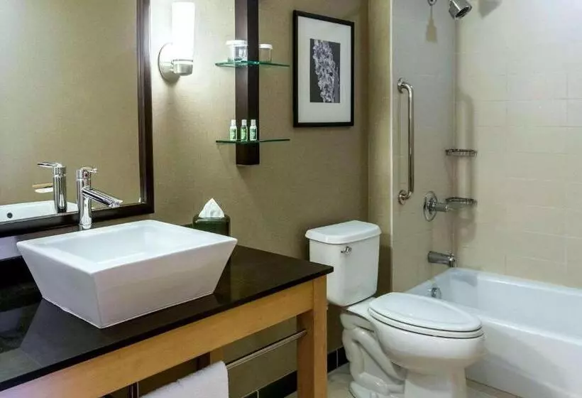 سوئیت برای معلولان, Cambria Hotel Rapid City Near Mount Rushmore
