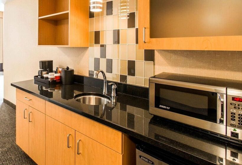 스위트, Cambria Hotel Rapid City Near Mount Rushmore