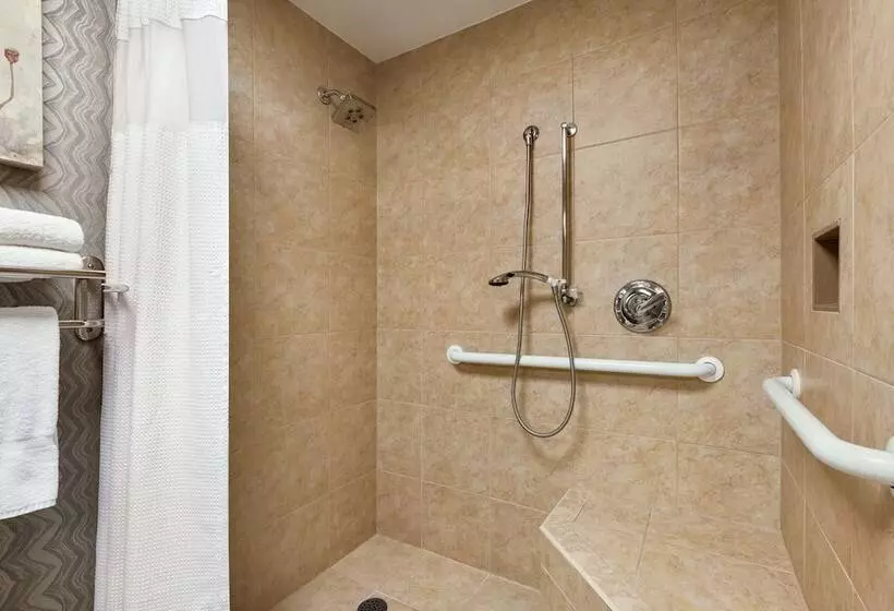 ２ダブルベッドのスタンダードルーム, Crowne Plaza Knoxville Downtown University, An Ihg