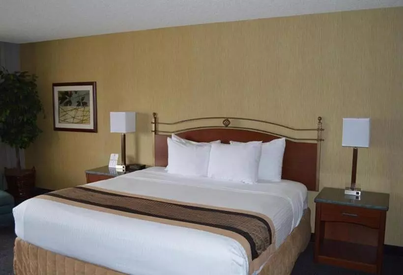 Standard-invahuone King-vuode, Best Western Cascadia Inn
