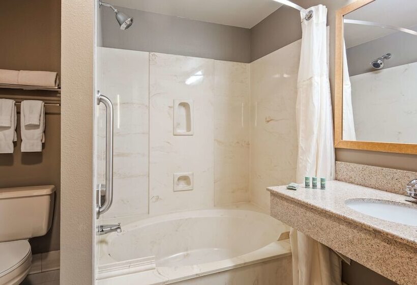 스탠다드 룸 킹사이즈 침대, Best Western West Towne Suites