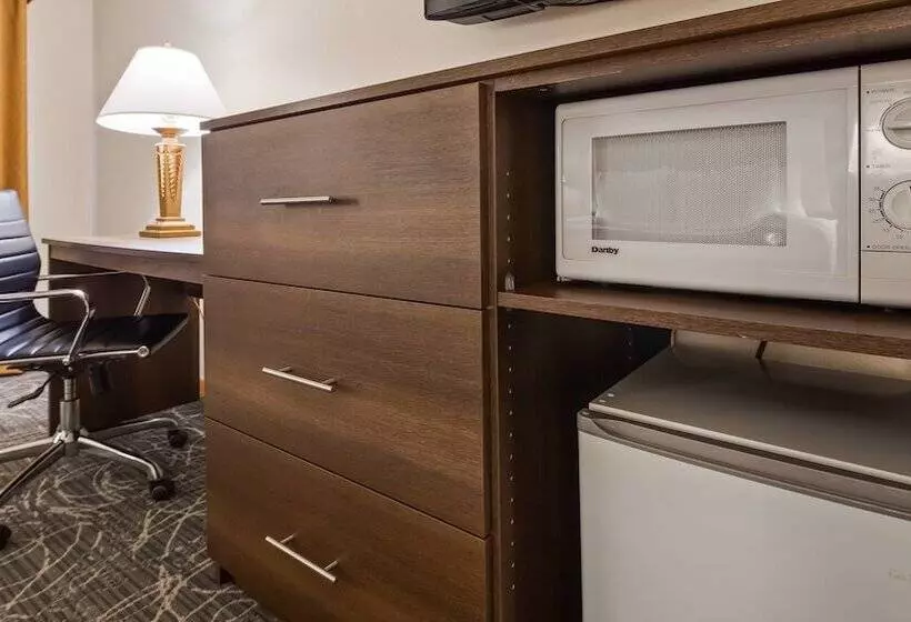اتاق استاندارد با تخت بزرگ, Best Western West Towne Suites
