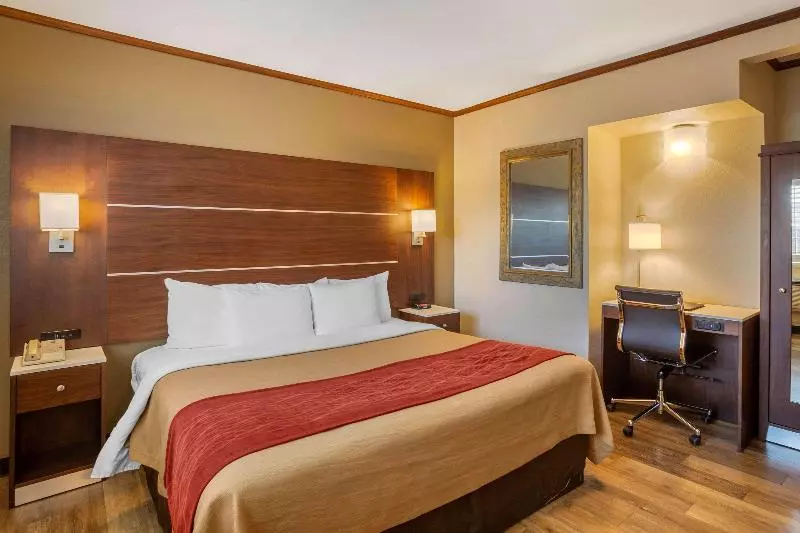 اتاق استاندارد با تخت بزرگ, Comfort Inn San Diego Airport At The Harbor