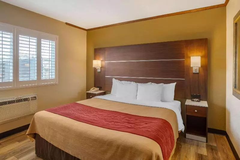 اتاق استاندارد با تخت بزرگ, Comfort Inn San Diego Airport At The Harbor