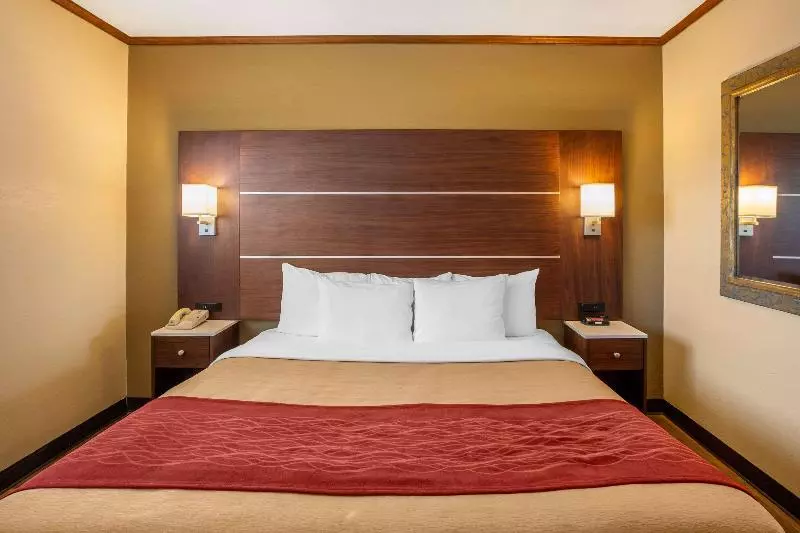اتاق استاندارد با تخت بزرگ, Comfort Inn San Diego Airport At The Harbor