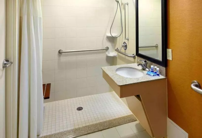 キングサイズベッドのスタンダードルーム, Fairfield Inn & Suites Parsippany