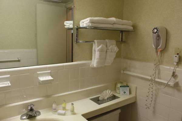 חדר סטנדרט עם מיטת קינג, Governor House Inn Arlington/falls Church