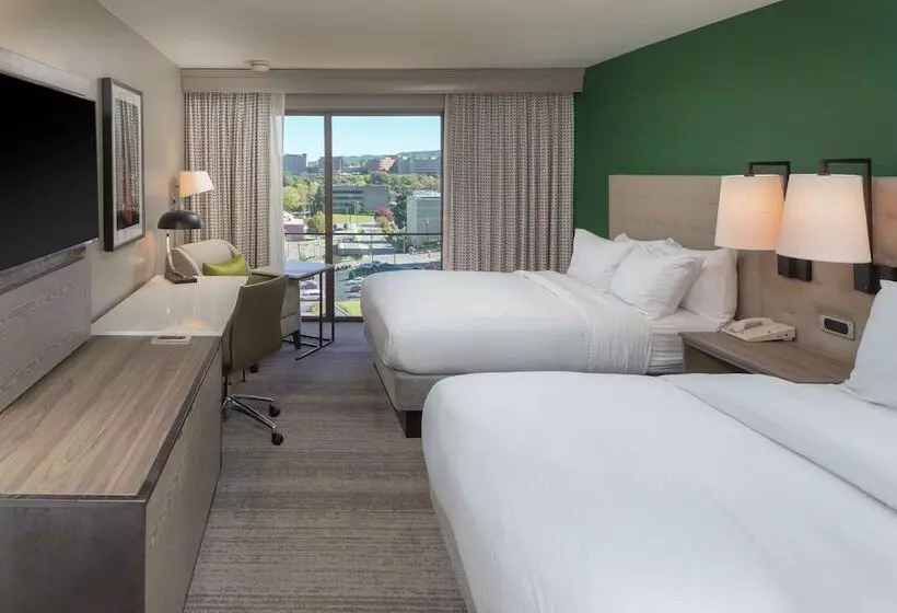 اتاق اجرایی, Hilton Birmingham Downtown At Uab