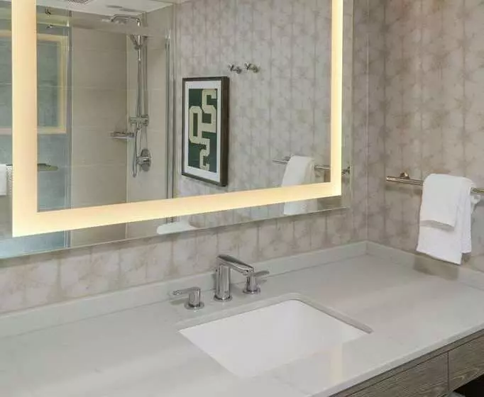 اتاق استاندارد با تخت بزرگ, Hilton Birmingham Downtown At Uab