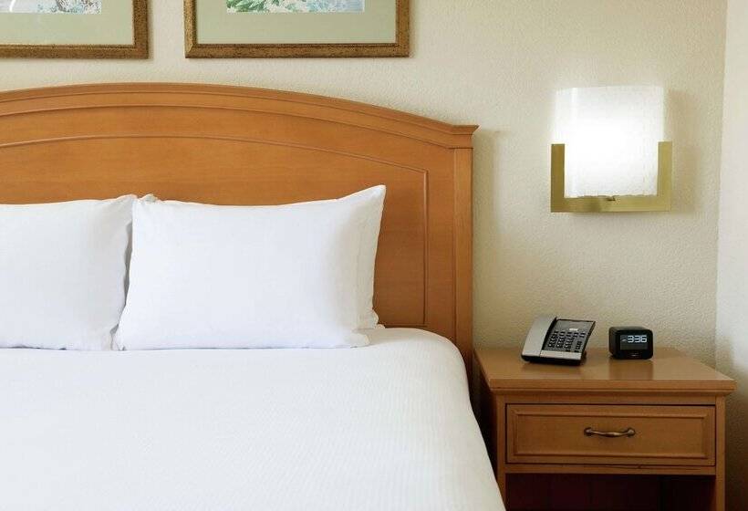 جناح, Hilton Boca Raton Suites