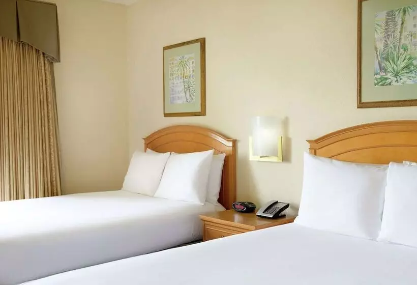 身障者適用スイートルーム, Hilton Boca Raton Suites