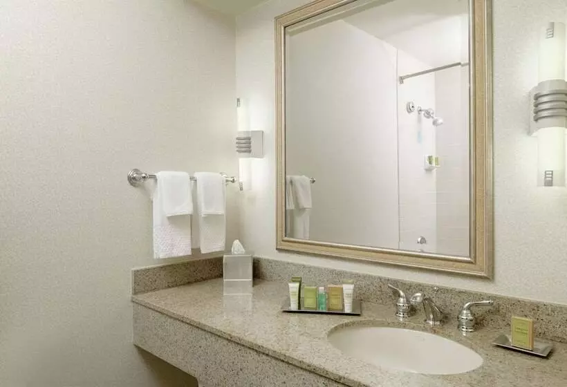 キングサイズベッドのスイートルーム, Hilton Boca Raton Suites