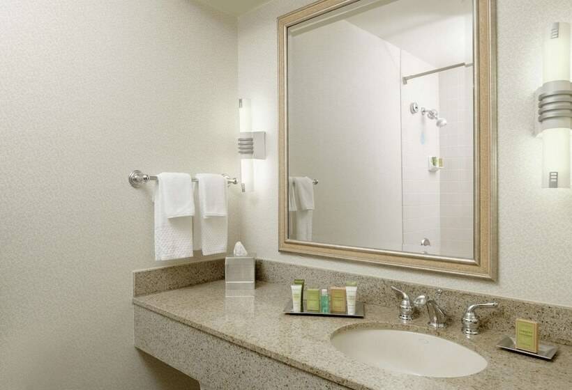 Люкс Адаптированный для Инвалидов, Hilton Boca Raton Suites