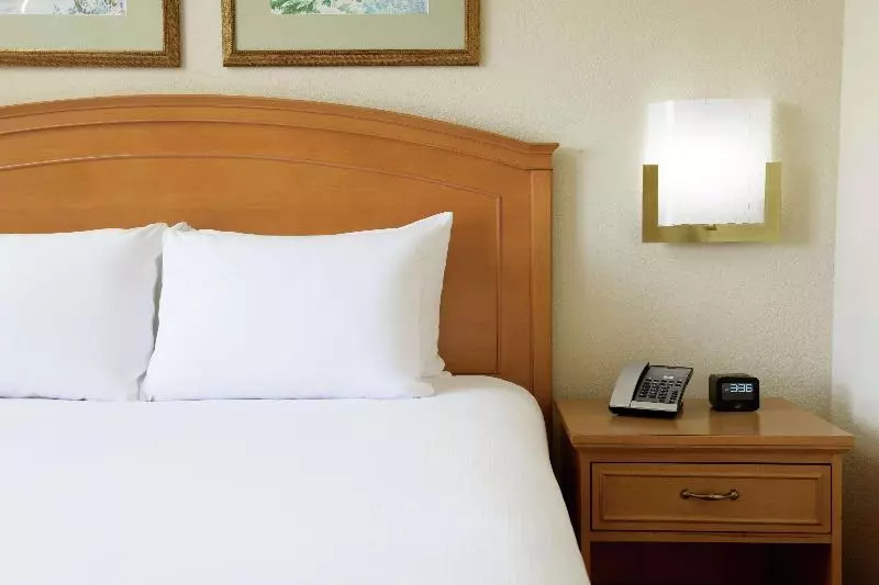 キングサイズベッドのスイートルーム, Hilton Boca Raton Suites