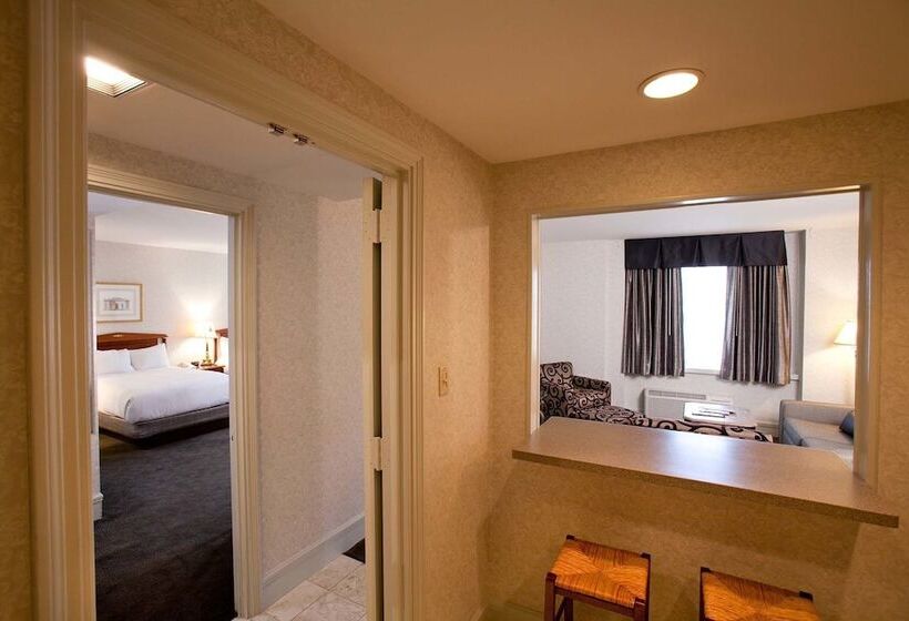 Люкс, Hilton Cincinnati Netherland Plaza