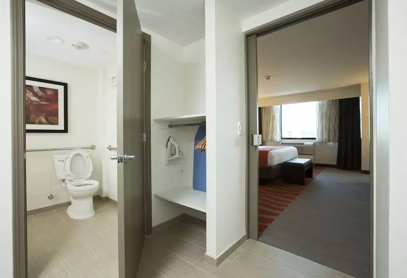 ２ダブルベッドのスタンダードルーム, Holiday Inn Houston S   Nrg Area   Med Ctr, An Ihg