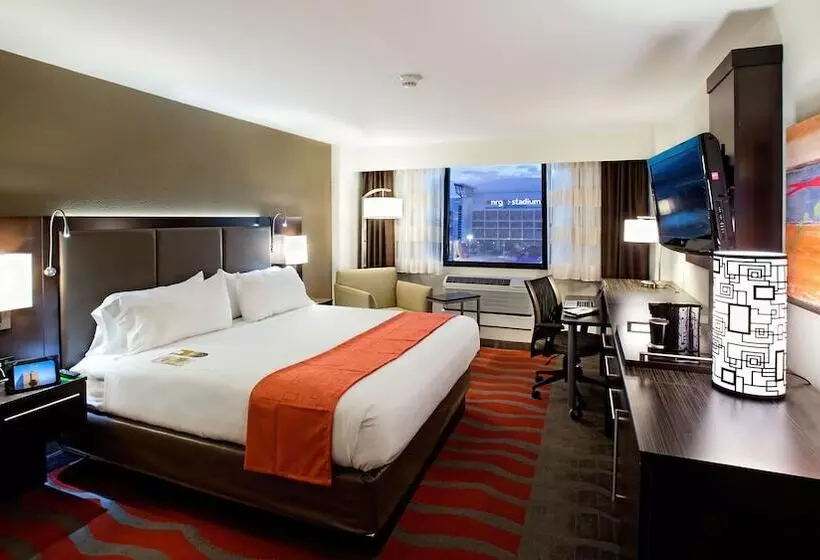 スタンダードルーム, Holiday Inn Houston S   Nrg Area   Med Ctr, An Ihg