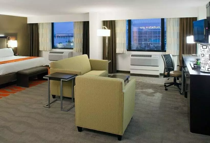 スイート, Holiday Inn Houston S   Nrg Area   Med Ctr By Ihg