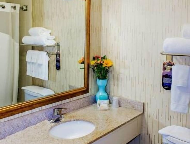 غرفة قياسية, Holiday Inn South Kingstown Newport Area, An Ihg