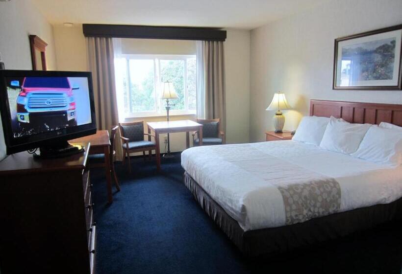 غرفة قياسية سرير كينج, Newport Channel Inn