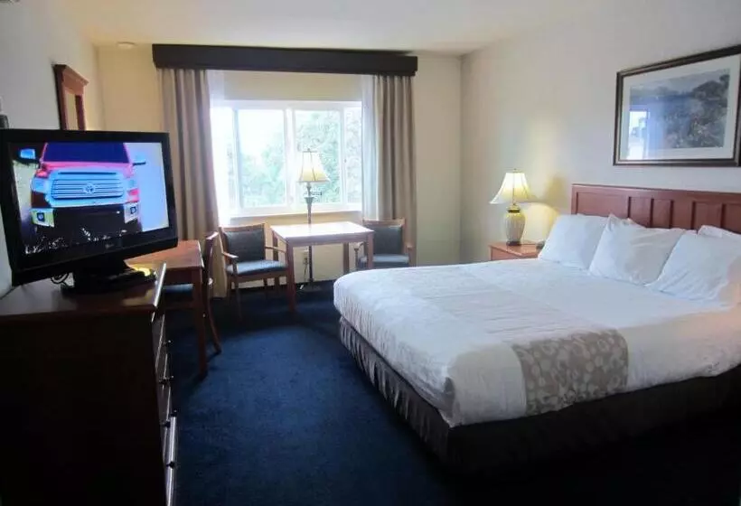 キングサイズベッドのスタンダードルーム, Newport Channel Inn
