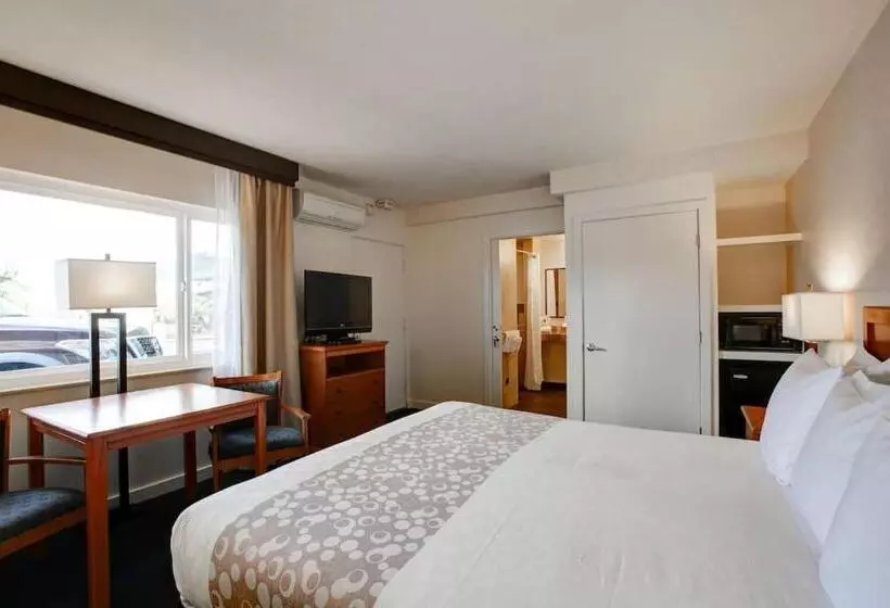 身障者適用キングサイズベッドルーム, Newport Channel Inn